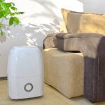 Portable dehumidifier in a living room