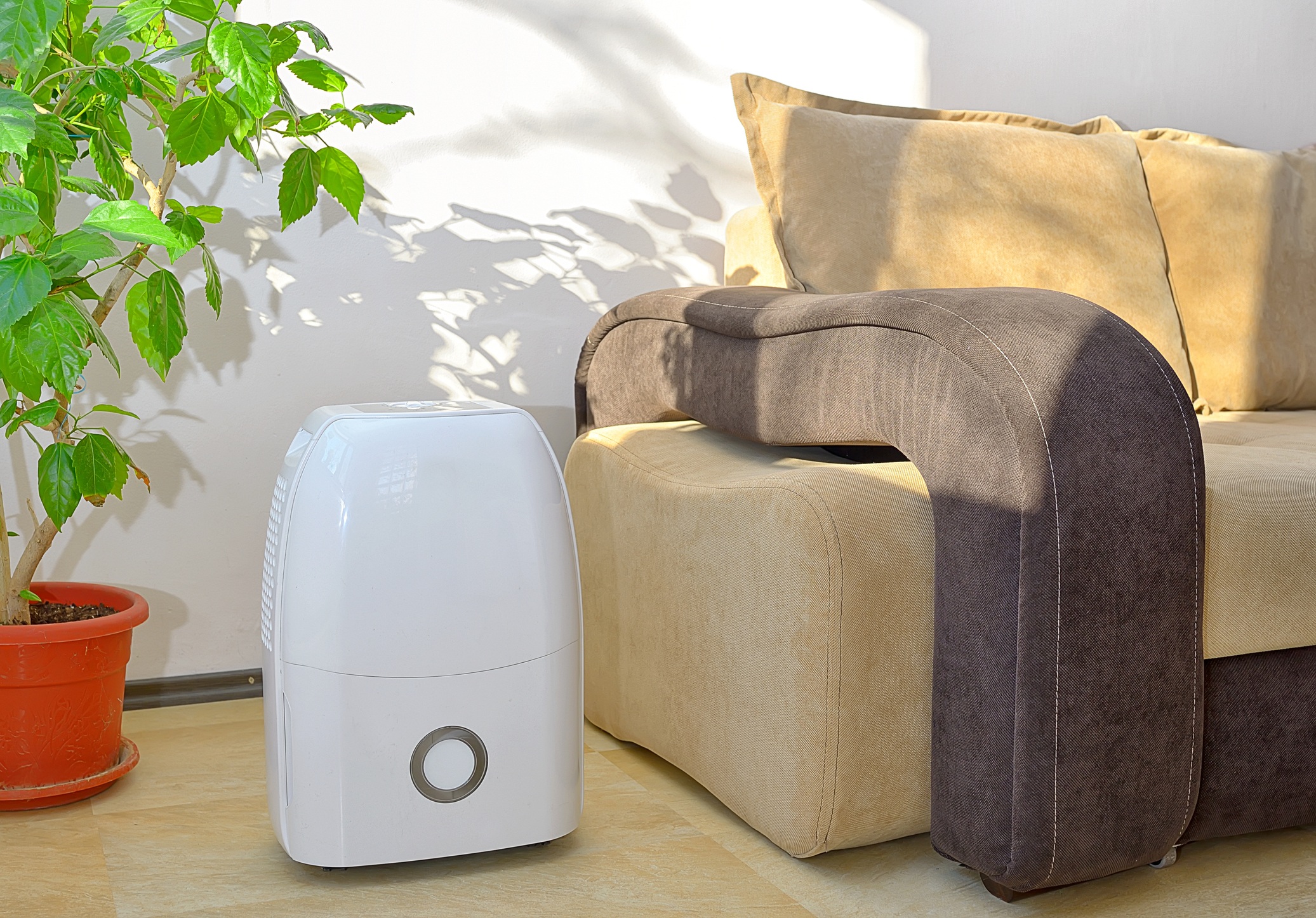 Portable dehumidifier in a living room